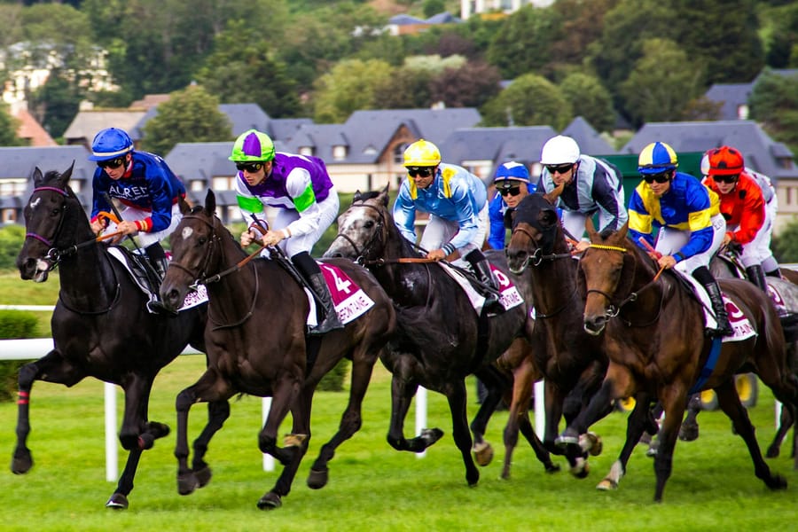 Field of thoroughbreds racing on turf